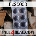 Fx25000 30